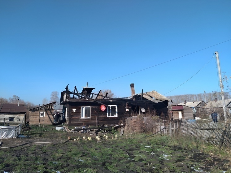 «Детская шалость»: назвали возможную причину пожара под Новосибирском