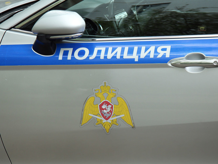 Марихуану в пакетах обнаружили у жителя 62 лет в Подмосковье