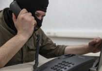 В Московской области участились случаи мошенничества, связанные с оплатой электроэнергии. Об этом сообщает РИА «Новости» со ссылкой на пресс-службу Министерства жилищно-коммунального хозяйства Подмосковья. 