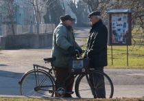 Поддержку ветеранам окажут региональные власти