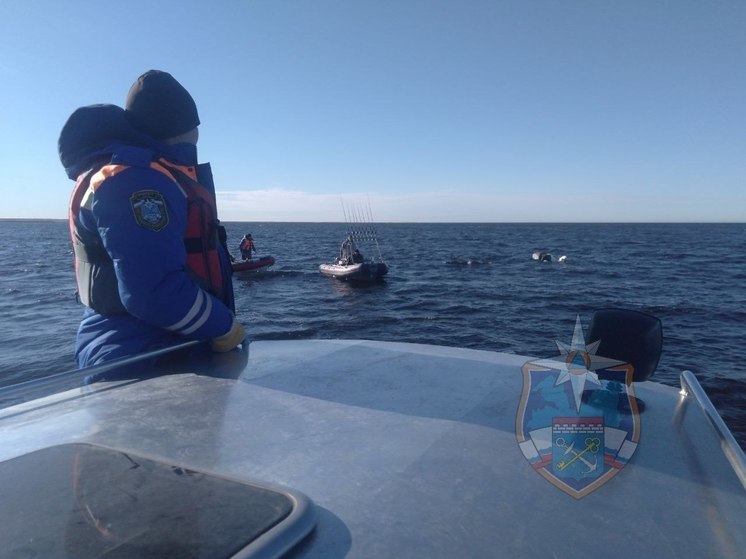 За неделю в Ленобласти в лесу и на воде погибли три человека