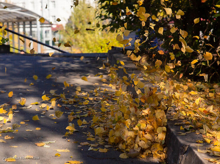 Порывистый ветер ожидается в Карелии 22 октября