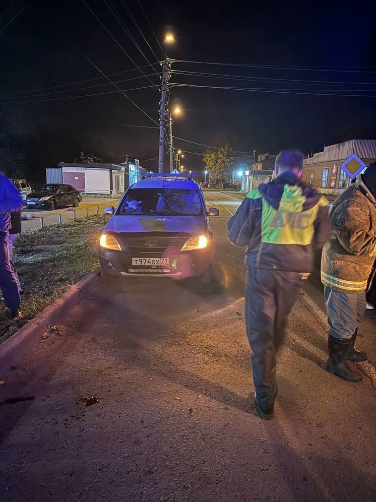 Женщина на LADA Largus сбила пешехода в поселке Дубовка Узловского района