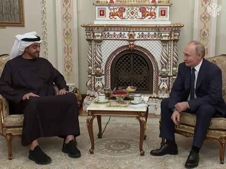 Путину и президенту ОАЭ подарили плюшевых медведей