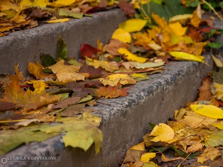 О завершении «золотой осени» рассказали в Гидрометцентре Карелии