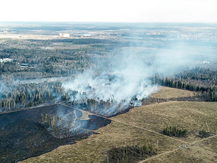 Глобальное потепление усилило риск умереть от задымления