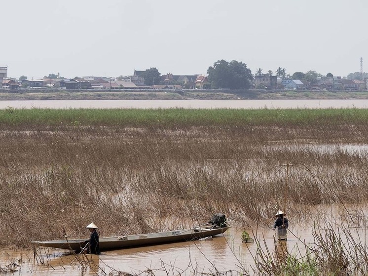 Считавшаяся вымершей крупная «рыба-призрак» замечена впервые почти за 20 лет