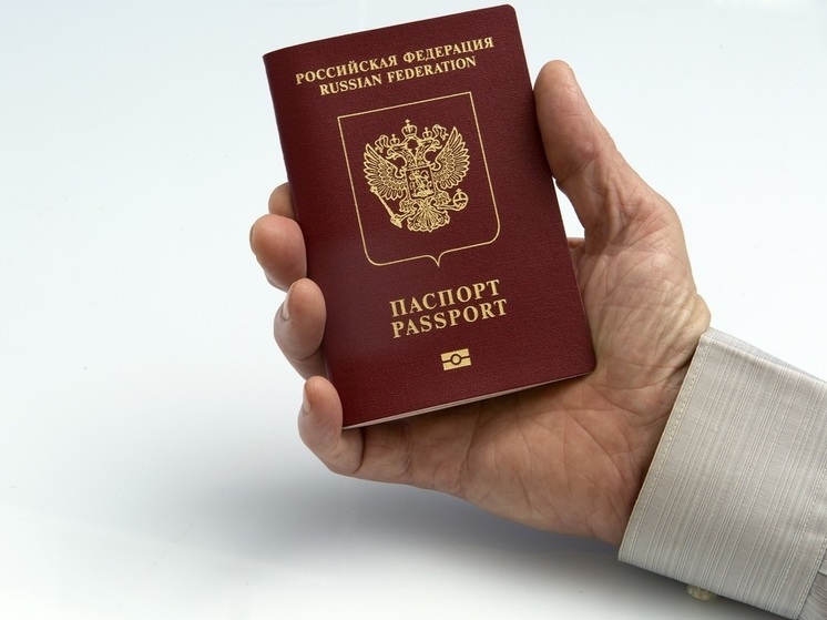 СБУ: у главы Николаевской областной МСЭК нашли 450 тысяч долларов и российский паспорт ее сына