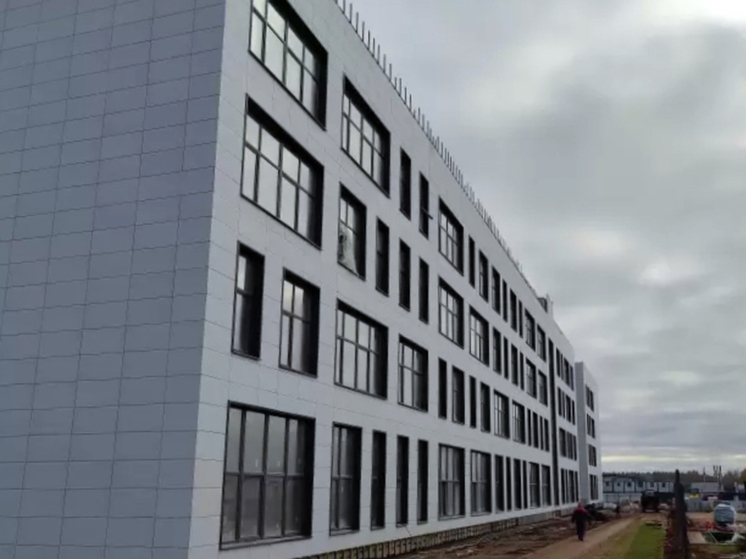 В Сухарево округа Мытищи строительство школы завершат до конца года