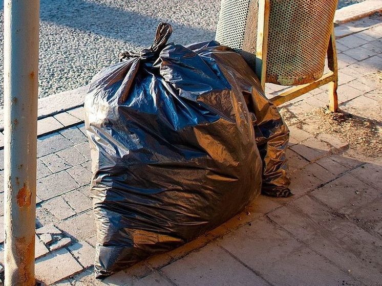 В Ленобласти выброшенный из окна пакет с мусором едва не попал в коляску