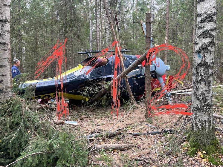 4 человека пострадали после аварии вертолета в Нижегородской обл.