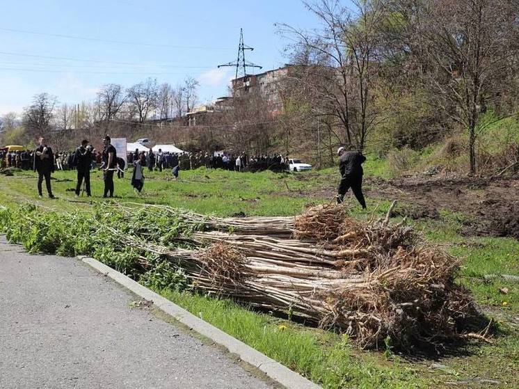 Во Владикавказе высадят 200 саженцев дуба в память об участниках СВО