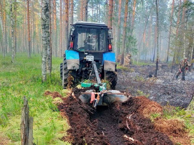 За время пожароопасного сезона в лесах Марий Эл произошел 61 пожар