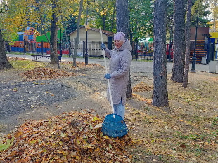 Йошкаролинцев приглашают убраться в Центральном парке