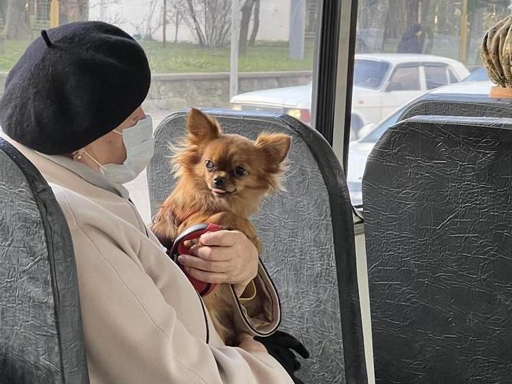 Смертность на Кубани сильно превышает рождаемость