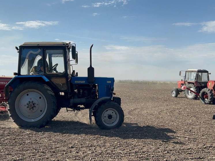 В Запорожской области 4000 трактористов получат российские удостоверения