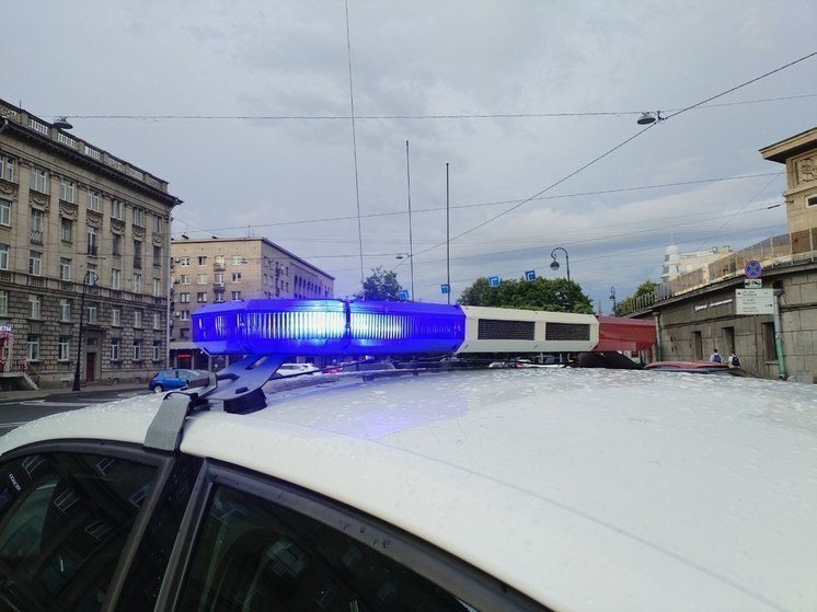 В Петербурге водитель автобуса выставил из транспорта буйного пассажира