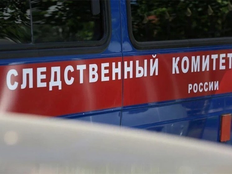 Домашняя собака изуродовала лицо российской девочке