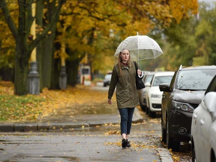 Из-за непогоды Минтранс призывает водителей быть внимательными