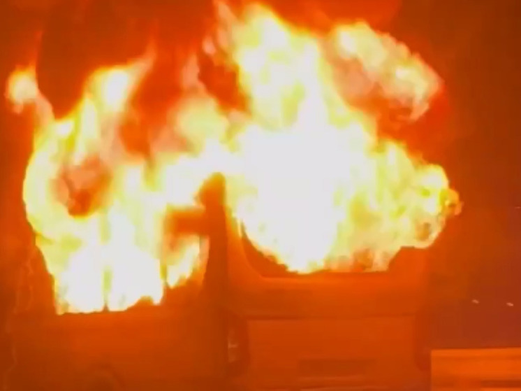 Автобус дотла сгорел на Новорижском шоссе в Подмосковье