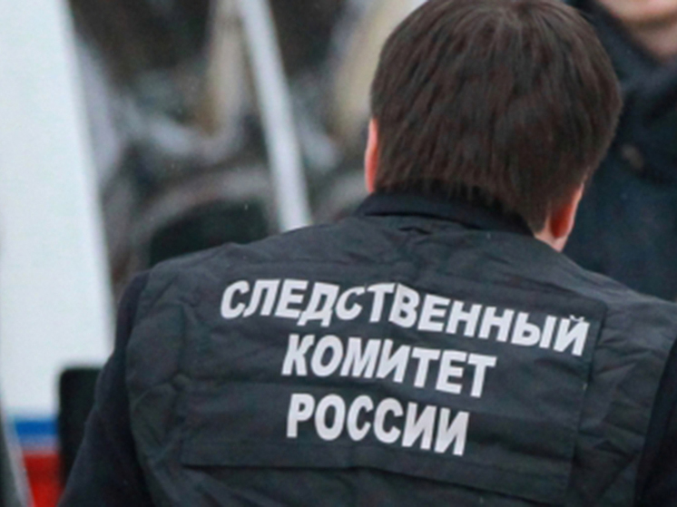 Следователи нашли пистолет, из которого в Подмосковье расстреляли ингушского чиновника