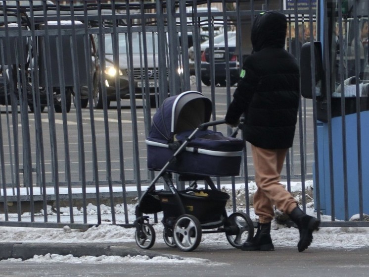 В петербургском ЗакСе призвали не предупреждать родителей и сразу штрафовать до 3 тысяч рублей