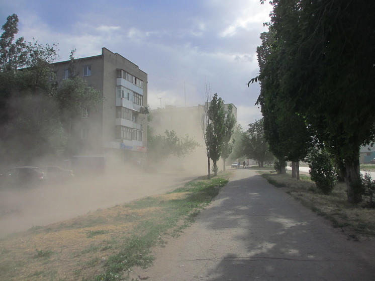 Желтый уровень опасности из-за ветра объявили в Саратове