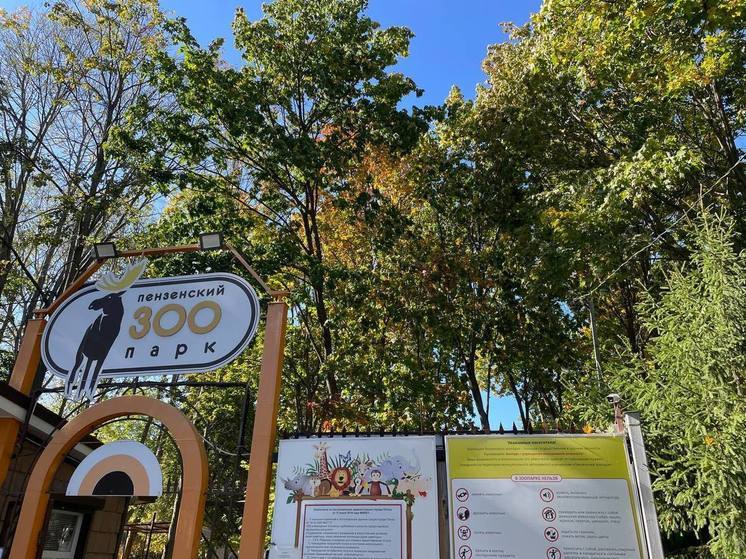 Пензенский зоопарк предлагает стать опекуном животного