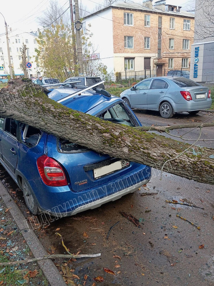 В Твери упавшее на авто дерево перекрыло движение рядом со сквером Вагоностроителей