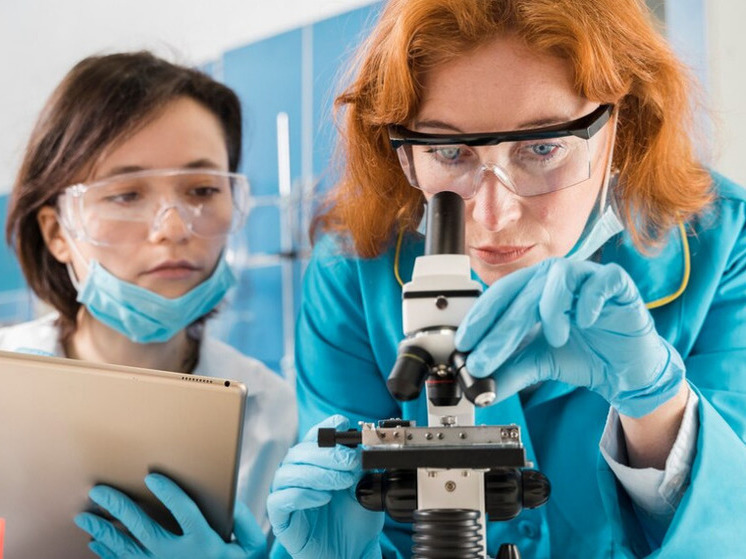 Российские биологи расшифровали ДНК представителя Северного Кавказа, жившего в медном веке