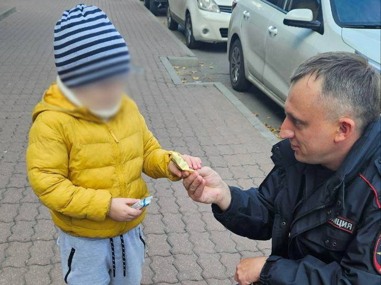 В Курске полицейские нашли родителей потерявшегося малолетнего мальчика