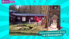 Необычный способ благотворительности: более 21 миллиона рублей получили фонды от участников лотереи «12 Добрых дел»