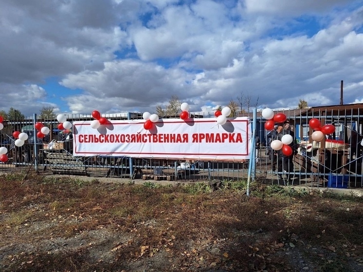 В Кызыле прошла сельскохозяйственная ярмарка выходного дня