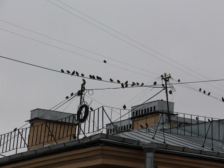 Северяне пожаловались губернатору на протекающую крышу и плохие дороги