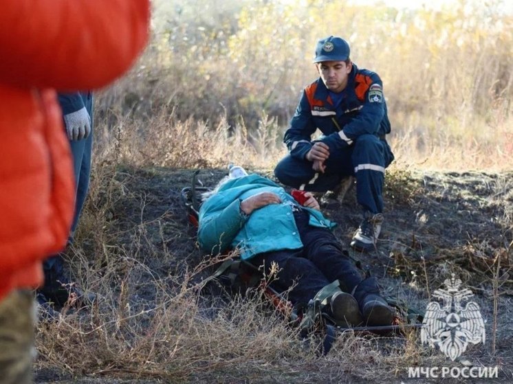 Пропавшую в лесу пенсионерку через 2 дня нашли в камышах под Волгоградом