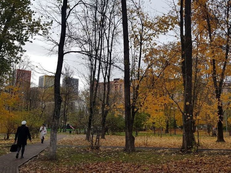 Самые интенсивные осадки в Подмосковье сегодня ожидаются вечером