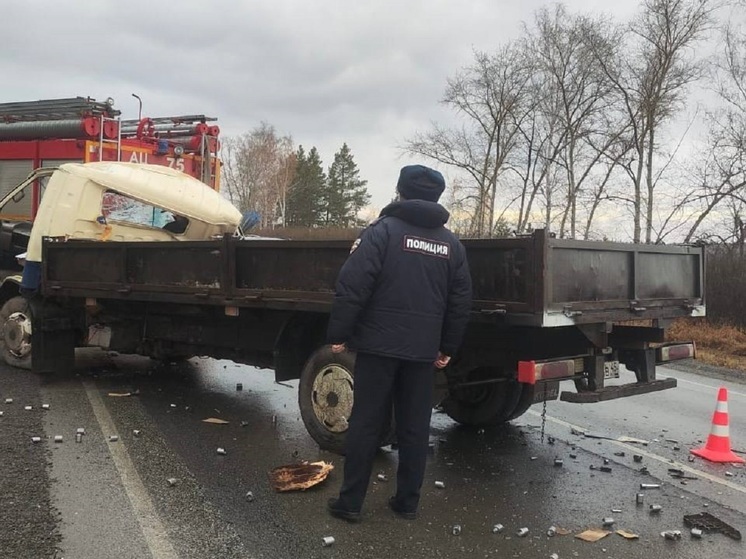 Водитель грузовика погиб при столкновении с самосвалом возле Заречного