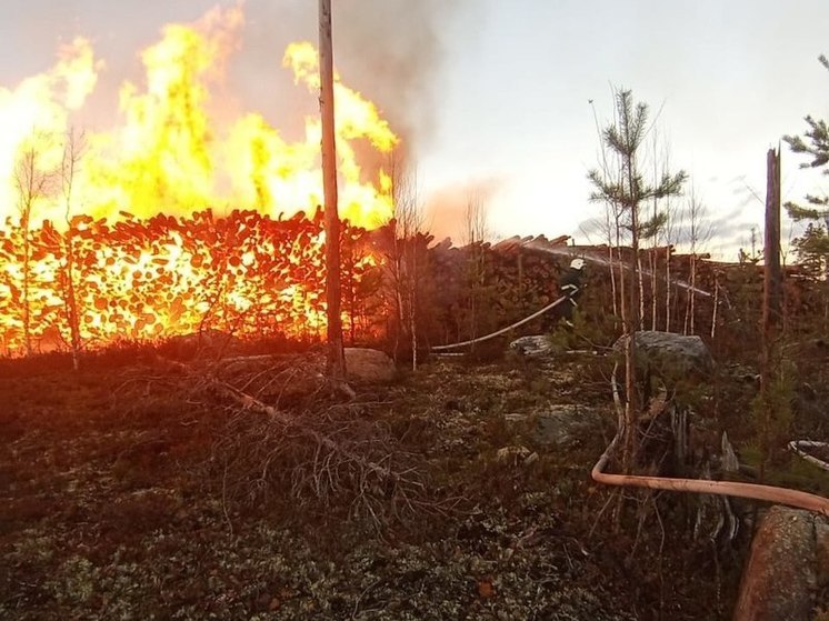 Около 3 тыс. кубометров дров сгорело при пожаре в Калевальском районе