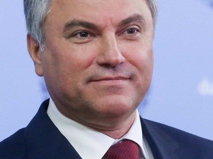 Володин призвал Россию не поддаваться на зеленую повестку