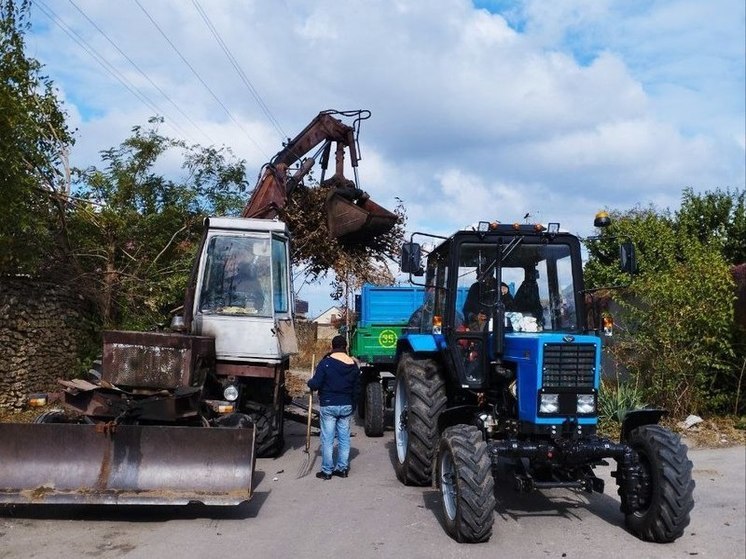 В Каховке провели обрезку аварийных деревьев