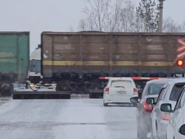 В Амурской области очистят от снега железнодорожные пути