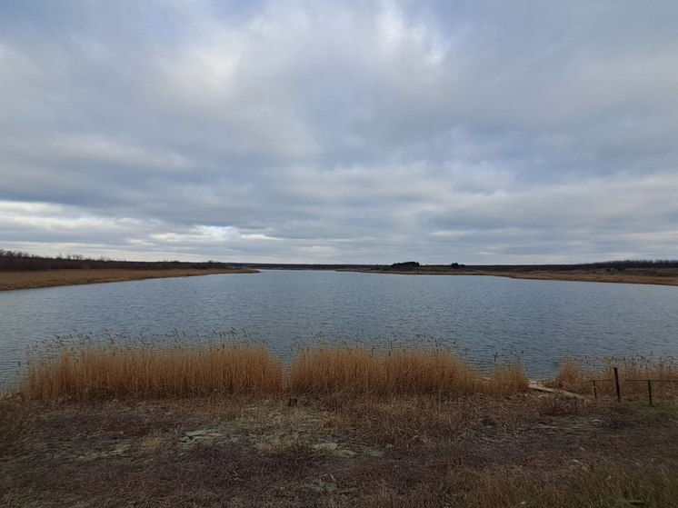 Уровень Бердовского водохранилища понижается каждый день на 1-2 см