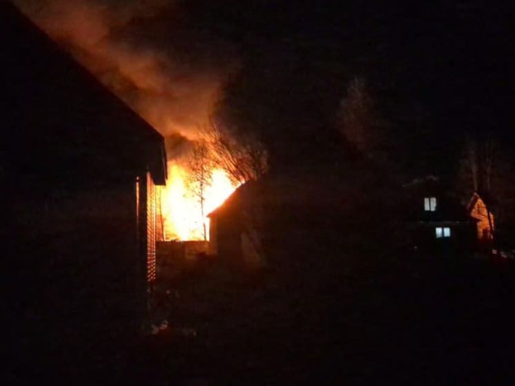 Во время пожара в деревне Молзино погиб 14-летний подросток