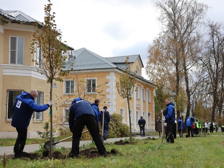 Сортовые липы высадили в Новомосковске на улице Трудовых Резервов