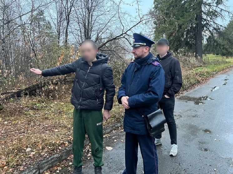 Свердловские силовики прокомментировали дело об убийстве 13-летних девочек