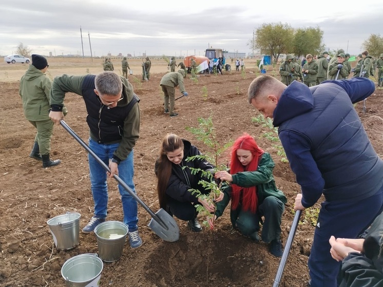 Блогер-миллионник приехала в Волгоградскую область сажать деревья