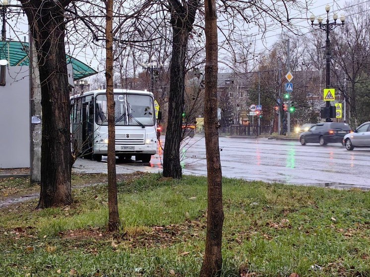 Облачно, но без осадков будет в Хабаровске 27 октября