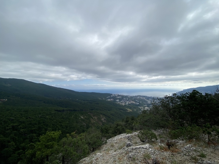 В Крыму сняли запрет на посещение лесов