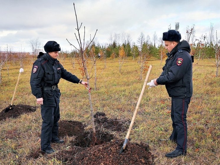 В самарском «Саду Памяти» высадили ещё 15 каштанов