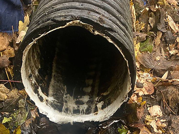 «Содружество-соя» сливало фосфаты в морской канал в Ижевском